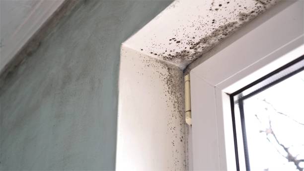 Best HVAC Mold Inspection and Cleaning  in Asbury, IA
