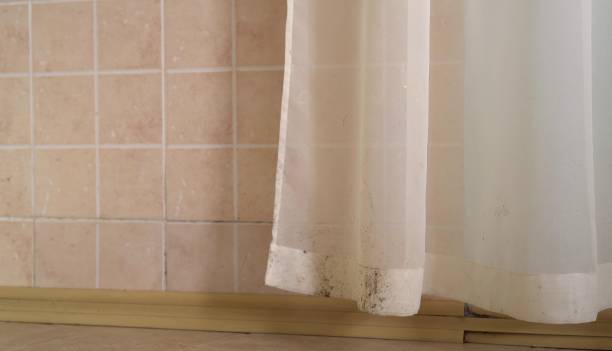 Best Water Damage & Mold Remediation  in Asbury, IA