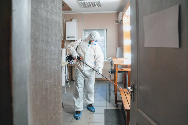 Best Emergency Mold Remediation  in Asbury, IA