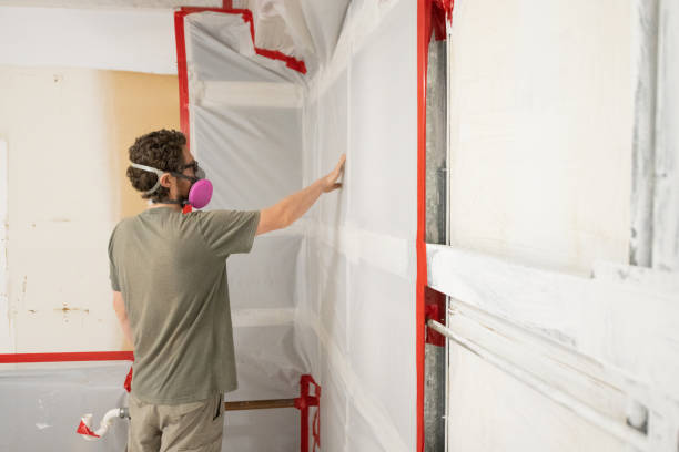 Best Mold-Related Health Consultation  in Asbury, IA