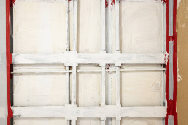 Best Biohazard Mold Removal  in Asbury, IA