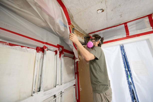 Best Environmental Consulting for Mold Prevention  in Asbury, IA