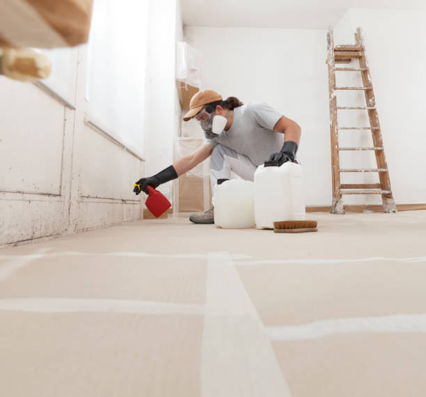 Best Mold Removal for HVAC Installations  in Asbury, IA