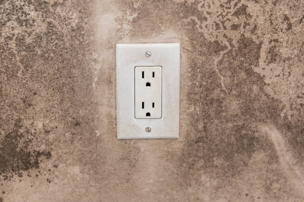 Best Mold Odor Removal Services  in Asbury, IA